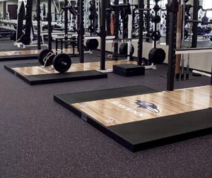 Everlast Gym Mats - Rolls & Tiles